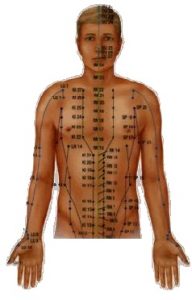 Human Meridian System Image
