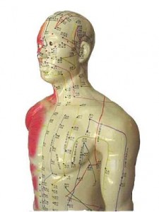 TCM Meridian System