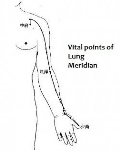 Vital points of lung meridian