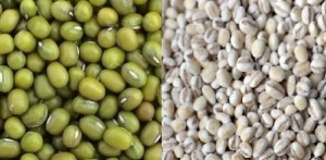 mung bean and barley